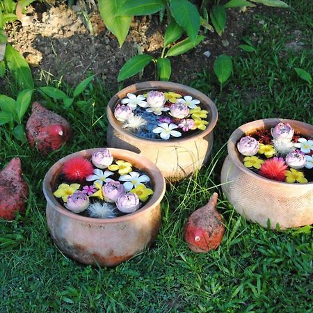 Baan Chai Thung Resort Doi Saket Eksteriør bilde