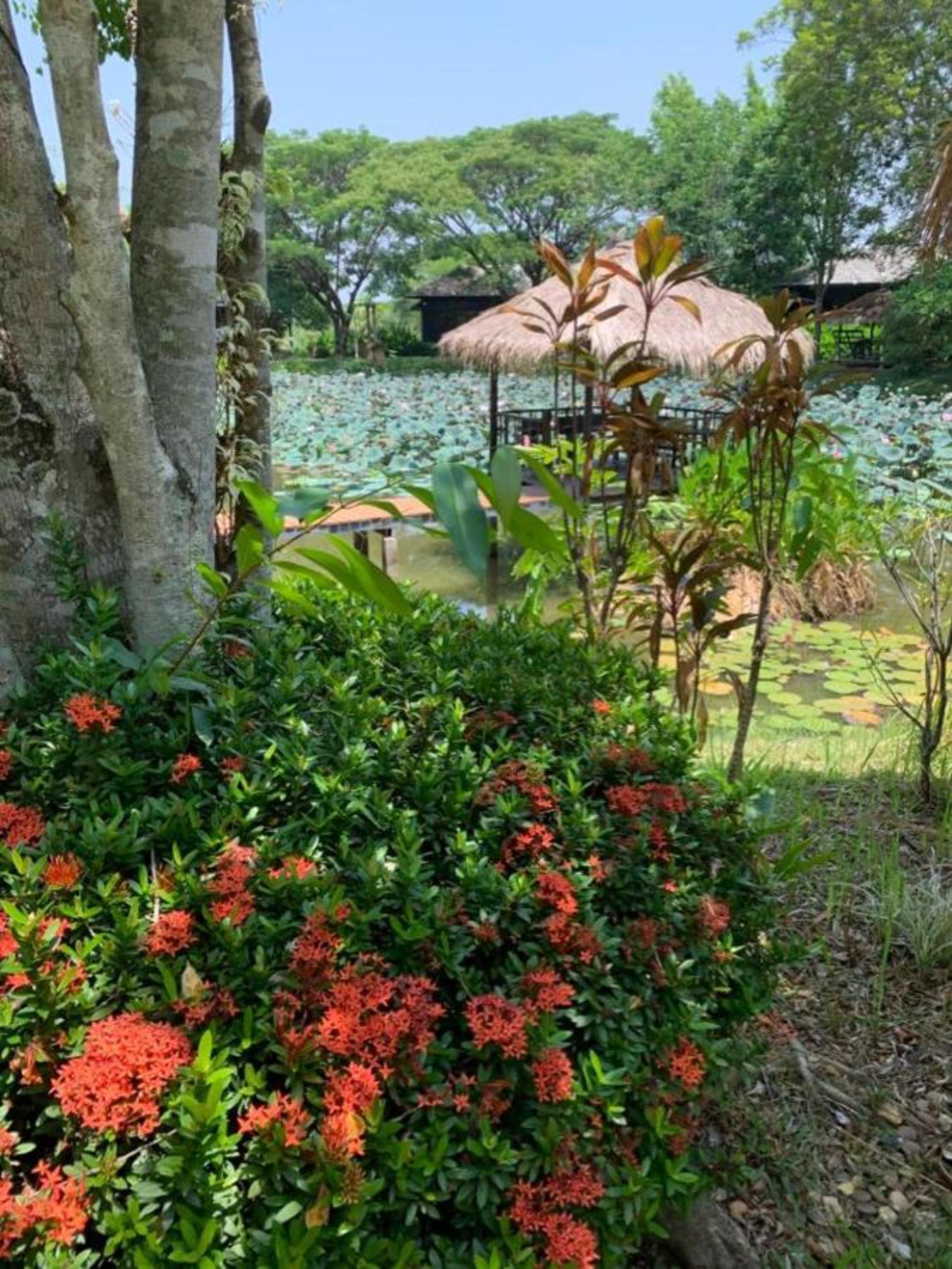 Baan Chai Thung Resort Doi Saket Eksteriør bilde
